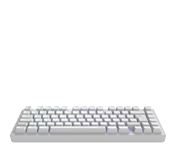 DARK PROJECT ALU81A Terra Nostra White ISO DE Multilingual Support - 1456415 - zdjęcie 7